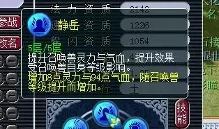 梦幻西游攻宠带的内丹(大话2中法宠带什么内丹)插图 梦幻西游攻宠带的内丹(大话2中法宠带什么内丹)插图