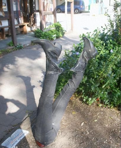 v字仇杀者布兰德(布兰德艾米利亚)插图35