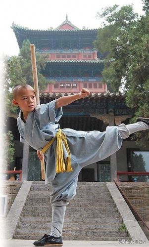 武林天龙(武林群侠传天龙路线)插图2