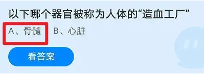 造血工厂是哪个器官(骨髓)插图 造血工厂是哪个器官(骨髓)插图