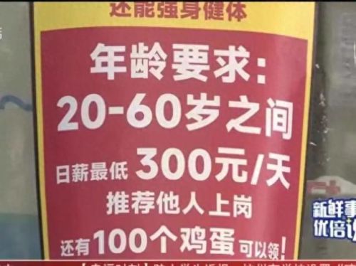 零工一天结一天工资300(日结工临时工)