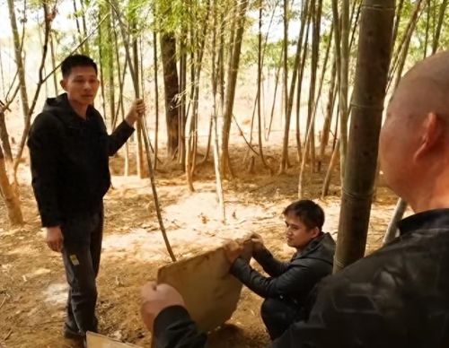 跳跳猪(跳跳猪玩具对婴儿危害)插图2 跳跳猪(跳跳猪玩具对婴儿危害)插图2