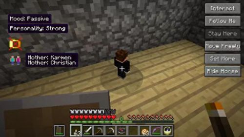 我的世界怎么生孩子(mc小姐姐秒变孕妇)插图2