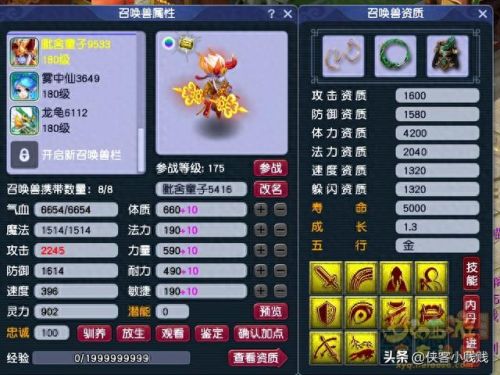 梦幻西游 耐法bb怎么加点(梦幻手游普陀最新加点)插图5