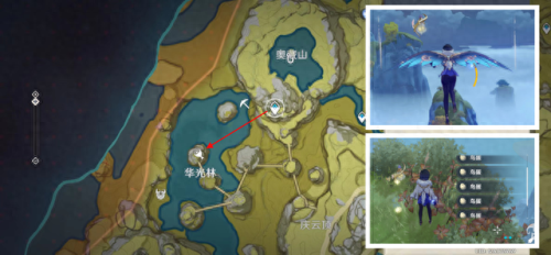 原神夜泊石(原神夜泊石在哪购买)插图5