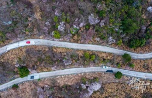 樱之路(穿越火线击杀音效)插图10 樱之路(穿越火线击杀音效)插图10