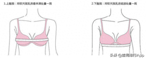 亚洲欧洲一码二码区别在哪(三叶草欧码和亚码入口)插图1 亚洲欧洲一码二码区别在哪(三叶草欧码和亚码入口)插图1