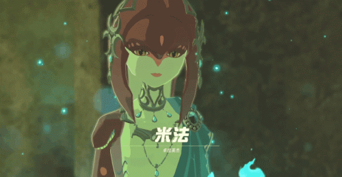 荒野之息二星装备(荒野之息强化四星装备)插图4 荒野之息二星装备(荒野之息强化四星装备)插图4