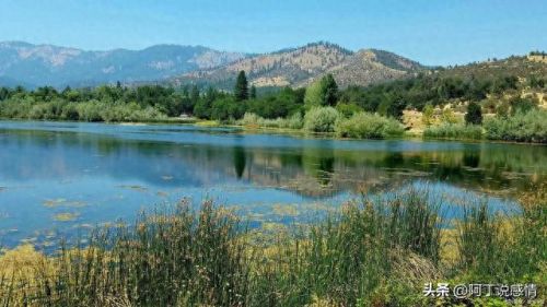 不负流年攻略(不负流年上一句是什么)插图4 不负流年攻略(不负流年上一句是什么)插图4