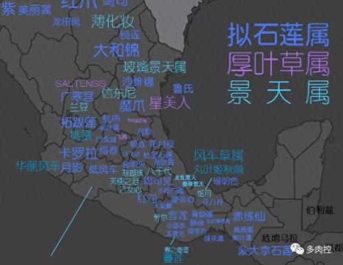 龙舌兰高原42攻略(龙舌兰高原攻略65)插图8 龙舌兰高原42攻略(龙舌兰高原攻略65)插图8