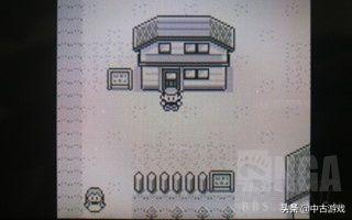 口袋妖怪叶绿金手指(叶绿金手指)插图11 口袋妖怪叶绿金手指(叶绿金手指)插图11