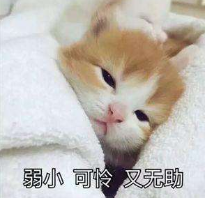 阿拉德大陆念气师技能配置(阿拉德大陆召唤师攻略)插图4