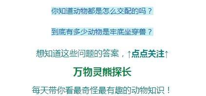 畜禽和人类AA(畜禽产品质量安全方面的工作总结)插图1 畜禽和人类AA(畜禽产品质量安全方面的工作总结)插图1