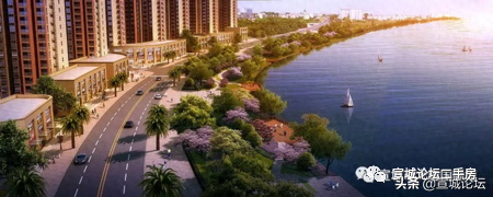 宣城论坛百姓视点(宣城头条新闻)插图62