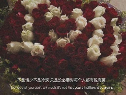 打人要打脸(打人不打脸的下一句是什么)插图