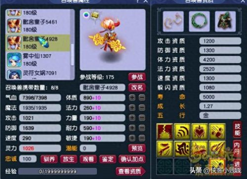 梦幻西游 耐法bb怎么加点(梦幻手游普陀最新加点)插图