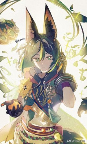 伞盖的荫蔽(伞盖是什么意思)插图