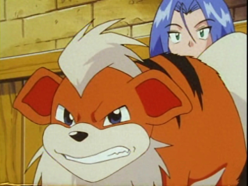 卡蒂狗(卡蒂狗阿尔宙斯)插图6