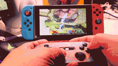 暗黑血统手柄(手柄暗黑)插图24