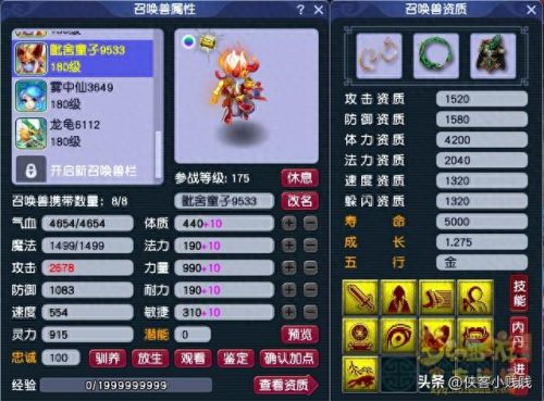 梦幻西游 耐法bb怎么加点(梦幻手游普陀最新加点)插图4