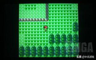 口袋妖怪叶绿金手指(叶绿金手指)插图17 口袋妖怪叶绿金手指(叶绿金手指)插图17