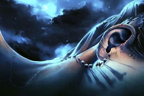 夜之蝶(夜之蝶小说)插图7