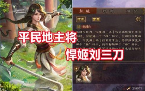 三国谋攻略(三国：谋尽天下)插图