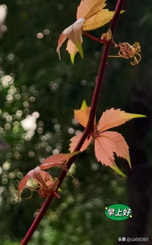 萦绕之魂怎么获得(萦绕之魂是什么意思)插图9