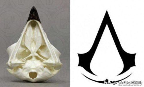 刺客信条2真相解密(刺客信条2真相转盘)插图22