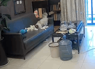 越狱禁闭攻略第七关(不可能完成的越狱第一关攻略)插图12