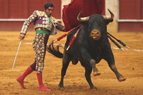 炫舞设计师生涯攻略牛牛(牛牛炫舞)插图1