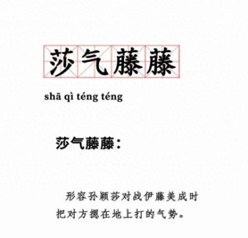 莎气腾腾(杀气腾腾什么意思)插图16