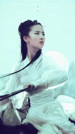 神雕之剑侠情缘(神雕孤岛情缘后续小说)插图