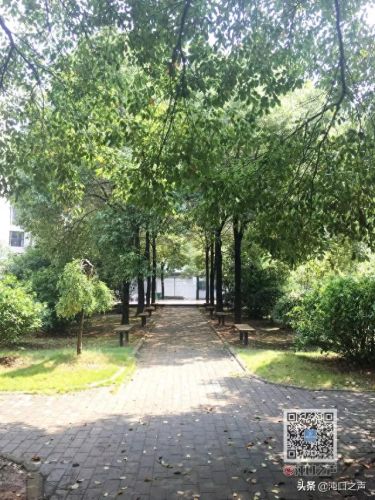 1.99神龙皓月(神龙皓月最新活动)插图11