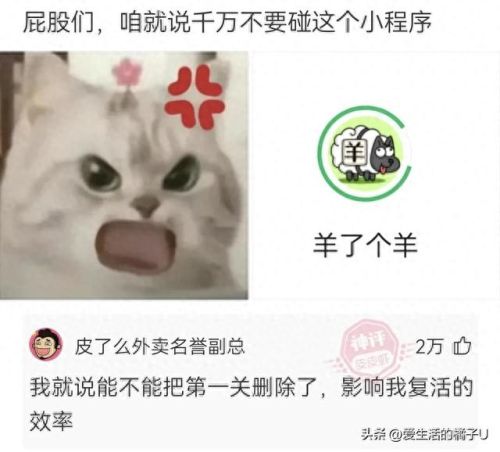 李明华味调料(李明华调味料什么梗)插图11