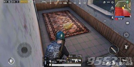 刺激战场的鸡(刺激战场训练场的鸡)插图