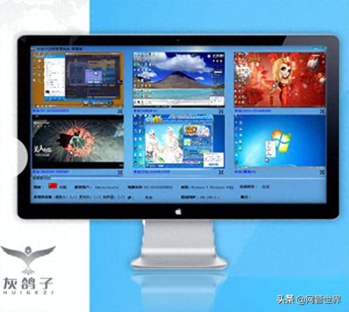 灰鸽子怎么用(灰鸽子app手机版)插图