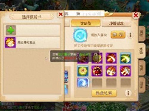 梦幻西游手游查看属性排名(梦幻西游手游属性排名怎么看)插图4