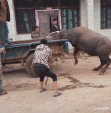 现在装备还能吃吗(装备镶嵌宝石还能换么)插图10 现在装备还能吃吗(装备镶嵌宝石还能换么)插图10