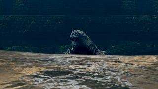 黑魂1 哪个武器最好看(黑魂1哪些武器值得升级)插图11