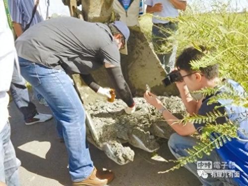小小的花园里挖呀挖呀是什么歌(在小小的花园里挖呀挖儿歌完整版)插图3