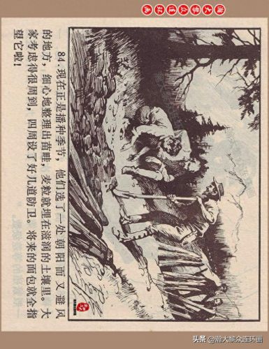 重返神秘岛1(重返神秘岛1机器人密码)插图86