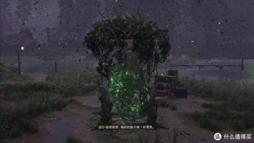 霍格沃兹遗产(霍格沃茨遗产switch可以玩吗)插图40