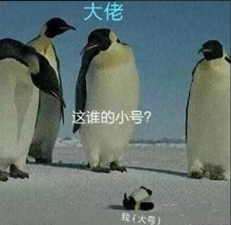 qq图标点亮器(qq点亮所有图标教程)插图16