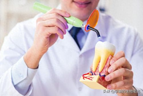 棉花糖制作机器是谁发明的(棉花糖机器哪里发明的)插图1