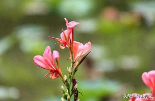 前世缘今生劫 攻略(浮世万千前世今生全攻略)插图1