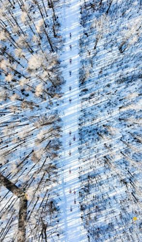 雪地地图(雪地地图防空洞位置)插图24