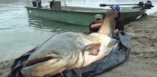 亚洲是图50(亚洲地图2060)插图3