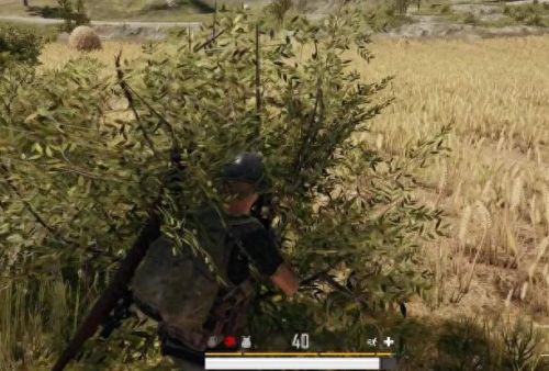 假车库上树(和平精英假车库是什么意思)插图 假车库上树(和平精英假车库是什么意思)插图