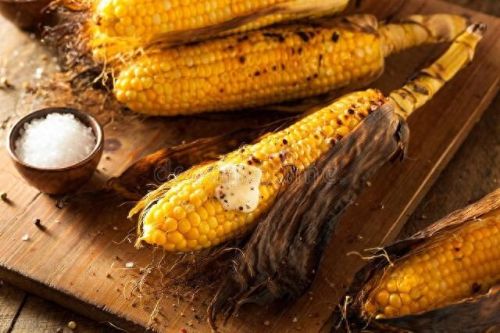 新吉布城市是哪个国家(吉布是哪个国家)